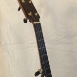 banjo 005 right front head