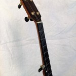 banjo 005