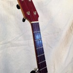 banjo cherry purpleheart