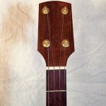 banjo 003 front headstock