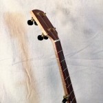 banjo 003 left front upper