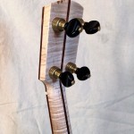 banjo 003 left back headstock