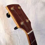banjo 002 headstock left front