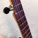 banjo 002 fingerboard detail