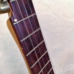 banjo 002 fingerboard detail