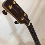 Maple Wengii Black Walnut Dobson