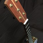 banjo 007 left front headstock