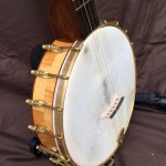 banjo 010 left front pot