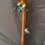 banjo 10 right back headstock