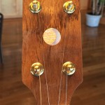 banjo 012 headstock close