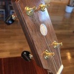 banjo 013 left headstock