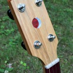 banjo 12 left headstock