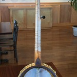 banjo 014 full back view