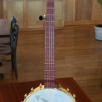 banjo 014 full front view