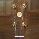 banjo 014 headstock front view