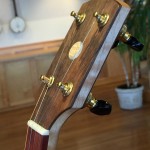 banjo 014 headstock right front view